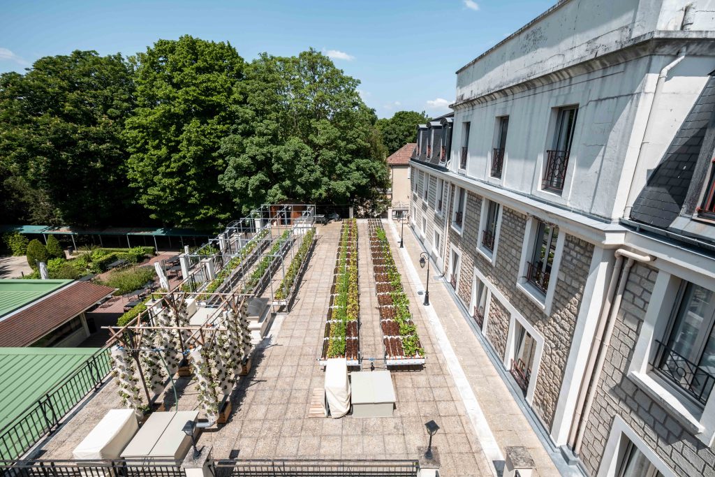 Photo - MERCURE SAINT GERMAIN EN LAY vertical vegetable garden 20230525 729 MERCURE SAINT GERMAIN EN LAY 20230525 729
